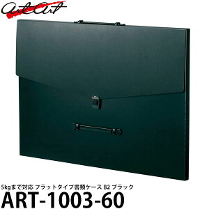 A^[g ART-1003-60 tbg^CvP[X B2 ubN yz