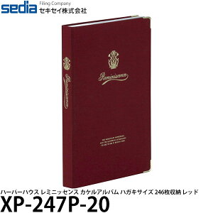 ZLZC XP-247P-20 n[p[nEX ~jbZX JPAo nKLTCY 246[ bh yzy[z