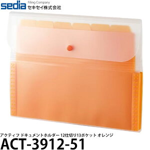 ZLZC ACT-3912-51 ANeBt hLgz_[ 12d؂13|Pbg IW y[ z