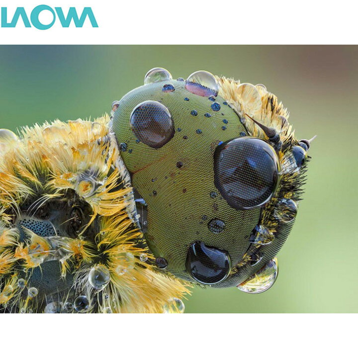 楽天市場】【送料無料】 LAOWA 25mm F2.8 2.5-5X ULTRA MACRO ニコン Z 