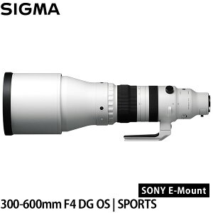 VO} 300-600mm F4 DG OS | SPORTS \j[E}Egp yz󒍐Y