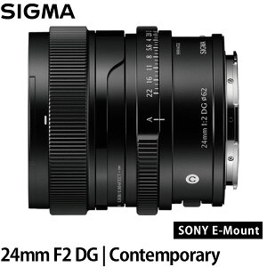 �V�O�} 24mm F2 DG | Contemporary �\�j�[E�}�E���g�p �u���b�N �y���������z