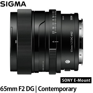 �V�O�} 65mm F2 DG | Contemporary �\�j�[E�}�E���g�p �u���b�N �y���������z