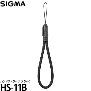 VO} HS-11B nhXgbv ubN Sigma BF ubNp y[ z