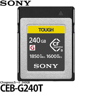 \j[ CEB-G240T CFexpressJ[h 240GB yz