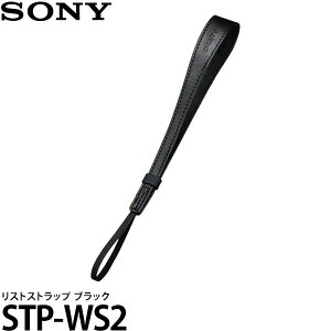 �\�j�[ STP-WS2 ���X�g�X�g���b�v �u���b�N �y���[���� ���������z