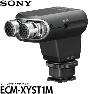 \j[ ECM-XYST1M XeI}CNtH yz