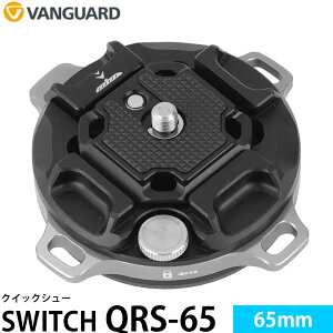 �o���K�[�h SWITCH QRS-65 �N�C�b�N�V���[ �y���[���� ���������z