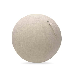 �G���R�� �o�����X�{�[�� �J�o�[ 65cm �����^�тɕ֗��ȃn���h���t�� �x�[�W�� F-BBC65BE