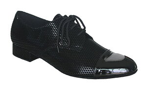 NEWfUCЌ_X@_XV[YЌ_XV[Y_Xpi@yZ~I[_[zj_V[Y