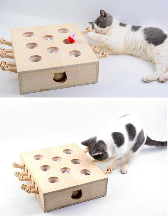楽天市場】送料無料 猫 おもちゃ 肥満が気になる猫用 ネズミ 知育玩具 