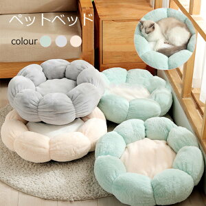  ybgxbh ~`t[ ^ ^ ^p O[ O[ sN Lpxbh pi Lpi ȉd4kg/9kgȓjybgpi ~ NbV  ybgNbV 