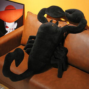  ʂ T\ Scorpion  NbV 킢 CeA q     킢 ޏ ӂӂŖ _炩 Sn 蕨 v[g 