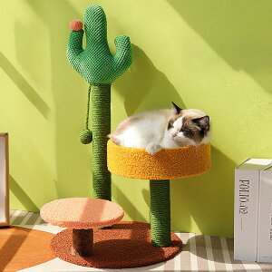  Lbg^[ T{e^Cv T{e ̃T{e Wv {[ E`T{e ܂Ƃ ܂Ƃ|[ L ˂  ybgp   Vn Xg