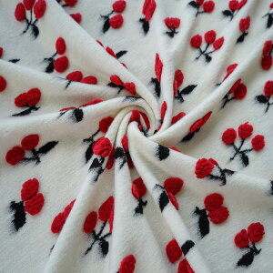  155cm 90cmP n z zn  WJ[hn  H~n E[ jbg  `F[ bh ubN zCg yVCOʔ