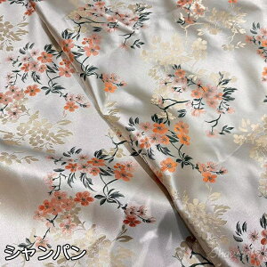  160cm 90cmP Te n ԕ  A O[ Vp z WJ[h G{X zn  Õ yVCOʔ