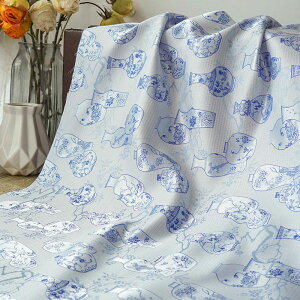  160cm 90cmP n z zn  WJ[hn FD Ԏ핿 ؕ u[ yVCOʔ