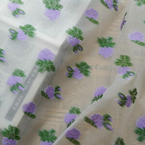  145cm 90cmP n z zn  WJ[hn G{Xn FD ԕ  sN p[v   yVCOʔ