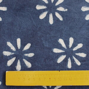  S22F 105cm 480cm n z zn    AF  Ch GXjbN u[ lCr[ F zCg   yVCOʔ