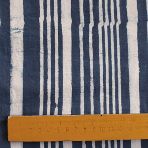  S22F 105cm 480cm n z zn    AF  Ch GXjbN u[ lCr[ F zCg   yVCOʔ