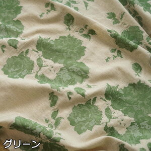  140cm 90cmP n z zn  G{Xn WJ[hn Ȗn ԕ  yVCOʔ