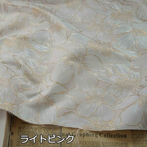  160cm 90cmP n z zn  WJ[hn G{Xn FD ԕ u[ sN yVCOʔ