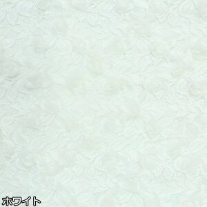  125cm 85cmP n z zn [Xn hJ ԕ ̃o   bV sN ǐF   yVCOʔ