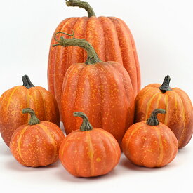 送料無料 ハロウィン 飾り 装飾 かぼちゃ オブジェ 置物 ハロウィーン カボチャ HALLOWEEN シミュレーションパンプキン ハロウィンかぼちゃ オーナメント 野菜キャビネットディスプレイ小道具 季節飾り パーティー 店舗部屋 店舗装飾 人気なオブジェ 楽天海外通販