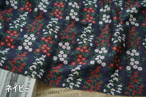  150cm 90cmP WJ[hn n z zn FD萶n ԕ lCr[  yVCOʔ