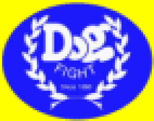 �h�b�O�t�@�C�g�v���I���W�i���@�t�@�C�i���M�A�Z�b�g�@AE86�p