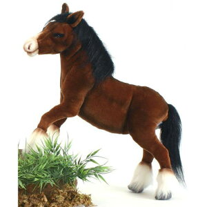 NCYf[z[X@50cmyzI[XgA܂̃uhHANSAinTj̈Sŗǎȃt@[gpA{ni܁ĵʂ