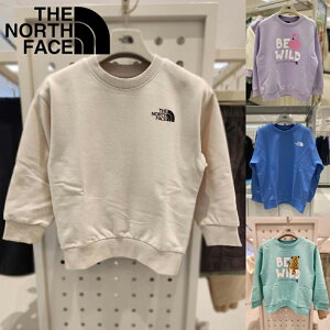 HE&SHE [] m[XtFCX THE NORTH FACE KOREA LbYAj[gg[i[ K'S ANI-MATE SWEATSHIRTS jZbNX LbY jp Xg[g JWA X|[eB XEFbgVc MTM NM5MP03