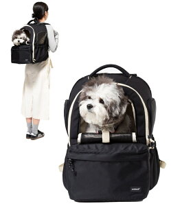 ANDBLANK AhuN HE&SHEyz DAYPACK BACKPACK f[pbNobNpbN ybgpi U o V_[L[obO Lp ybgLA LA ybgACe N