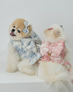 MISS&PET ~X&ybg HE&SHEyz FRENCH BIG RIBBON HARNESS t`sbN{nlX ybgpi U o Lp ybgACe [X yCY[ ؍uh