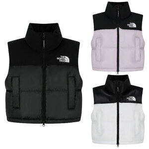 m[XtFCX THE NORTH FACE KOREA yKiz 25FW E[}mxeBkvVxXg(RDS) W'S NOVELTY NUPTSE VEST (RDS) fB[X  q AEghA AE^[ Xg[g JWA _ExXg 