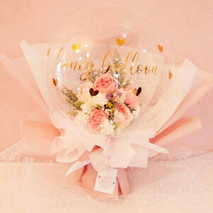 t[o[   a o[Xf[ J JXj  j o[ Mtg d sN o[d IWi Nj i  蕨 O o[