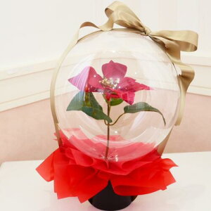 o[t[  |CZ`A  bh a  t[ o[Mtg o[ v[gp t[Co[ Vv  j Mtg