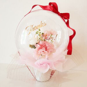 o[Mtg o[t[  ̓ o[d d J[l[V t[Co[ A[eBtBVt[ sN