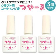 MYmama クラフト用 コーティング液 傷 汚れ防止 ツヤ仕上げ つやーる 透明色 3個セット 簡単 速乾 アクス…