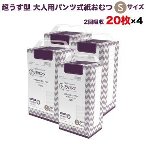 pc lpނ ^ Ic pc I[KjbNRbg 2z STCY 20×4Zbg A AR zʑ  jp p ĝ ЊQ 80 lppc n