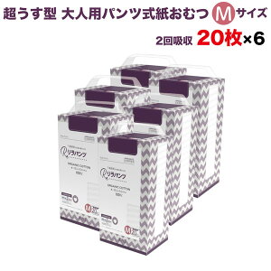 pc lpނ ^ Ic pc I[KjbNRbg 2z M 20×6Zbg A AR zʑ  jp p ĝ ЊQ 120 lppc nr