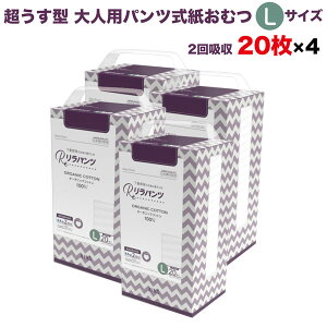 pc lpނ ^ Ic pc I[KjbNRbg 2z LTCY 20×4Zbg A AR zʑ  jp p ĝ ЊQ 80 lppc n