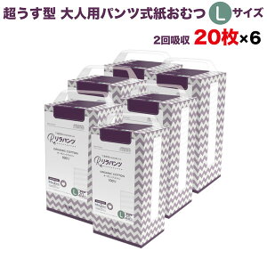 pc lpނ ^ Ic pc I[KjbNRbg 2z L 20×6Zbg A AR zʑ  jp p ĝ ЊQ 120 lppc nr