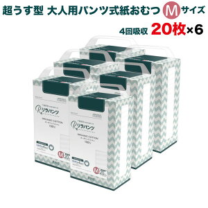 pc lpނ ^ Ic pc I[KjbNRbg 4z MTCY 20×6Zbg A AR zʑ  jp p ĝ ЊQ 120 lppc 