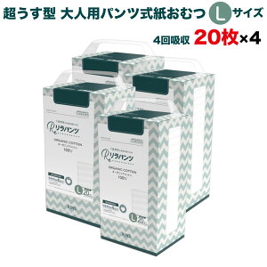 pc lpނ ^ Ic pc I[KjbNRbg 4z LTCY 20×4Zbg A AR zʑ  jp p ĝ ЊQ 80 lppc n