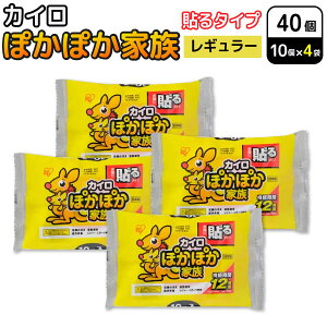 ACXI[} ۂۂƑ \ JC M[ 10×4Zbg(40) ĝăJC h΍ ʋ ʊw ₦ \^CvM[   ObY 12Ԏ 