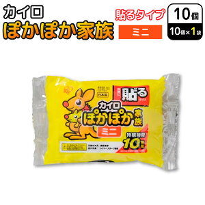 ACXI[} ۂۂƑ \ JC ~j 10 ĝăJC h΍ ʋ ʊw ₦@\^Cv~j   ObY 10Ԏ ΍ o X|[c