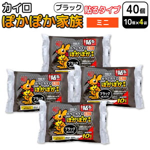 ACXI[} ۂۂƑ \ JC ~j ubN 10×4Zbg(40) ĝăJC h΍ ʋ ₦@\^Cv~j(ubN)   ObY 10Ԏ 