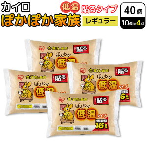 ACXI[} ۂۂƑ \ JC ق킩 ቷ^Cv M[ 10×4Zbg(40) ĝăJC h΍@\ቷ^Cv M[   ObY 16