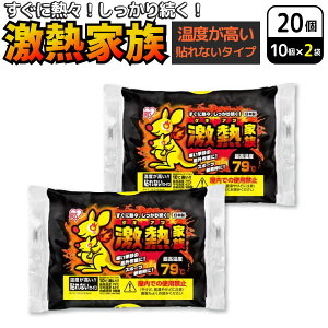 ACXI[} ۂۂƑ \ȂxM JC M[ 10×2Zbg(20) ĝăJC h΍ ₦@\ȂM^CvM[ MƑ Lv AE